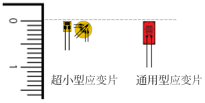 拉斯维加斯9888(中国游)官方网站