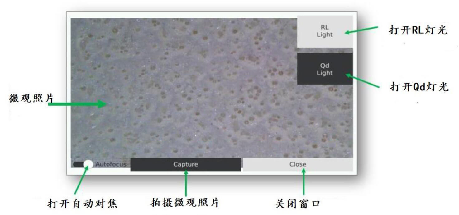 拉斯维加斯9888(中国游)官方网站