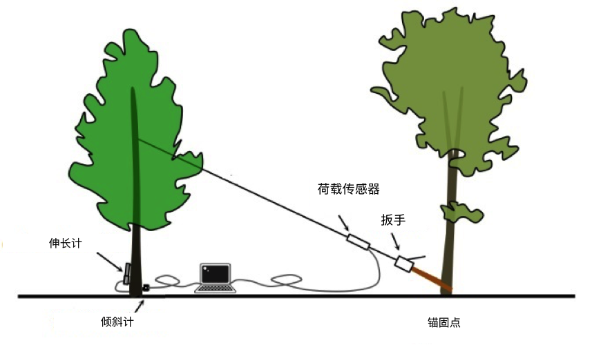 拉斯维加斯9888(中国游)官方网站