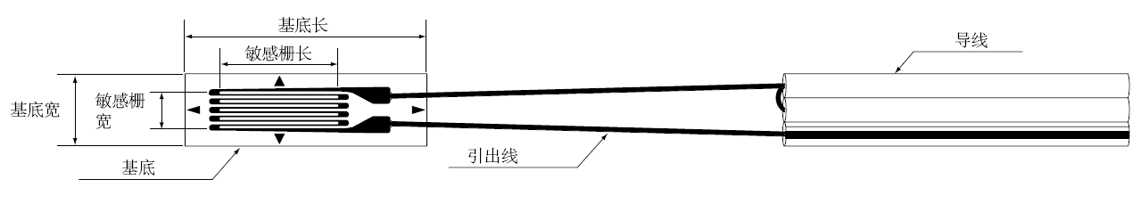 关注8个要点，，，，，准确选用应变计 - 拉斯维加斯9888仪器装备中国有限公司