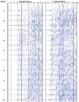 1000段可靠的PS波测井数据从哪来？？？ - 拉斯维加斯9888仪器装备中国有限公司