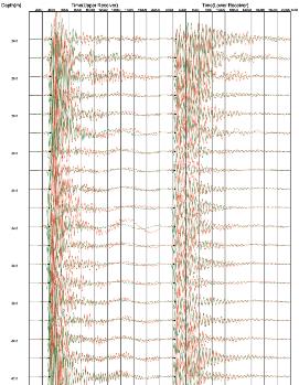 1000段可靠的PS波测井数据从哪来？？？ - 拉斯维加斯9888仪器装备中国有限公司